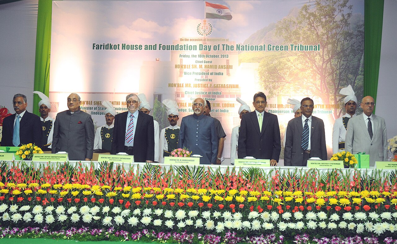National Green Tribunal (Principal Bench)